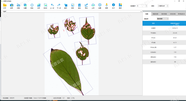 1767678668141151.png 病斑蟲損.png