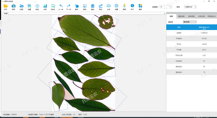 1767678690514357.png 葉面積分析.png