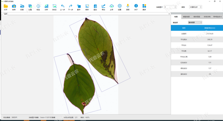 1767678709613309.png 葉面積分析1.png