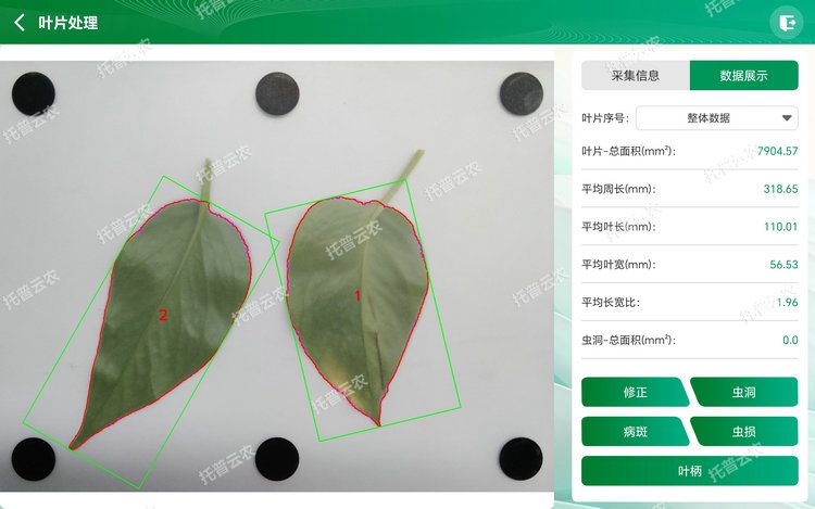 整體分析 - 副本.jpg