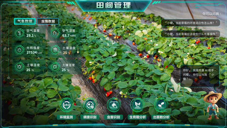 1768268072396047.png 田間管理.png