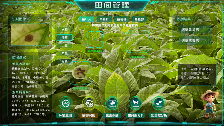 1768268094577848.png 煙草病害識別.png