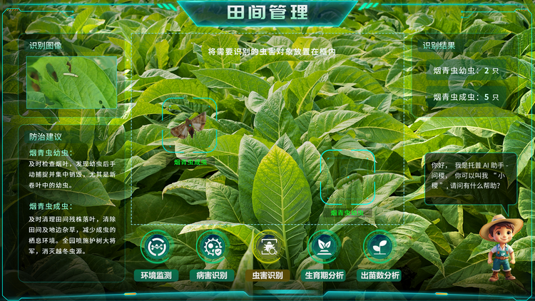 1768268111163734.png 煙草蟲害識別.png