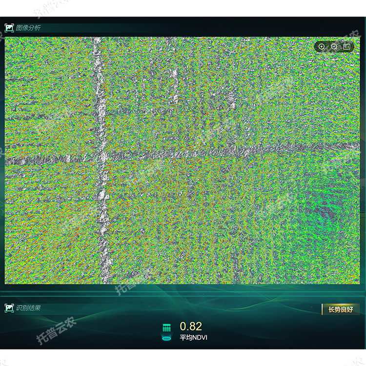 1770704746198782.png 1.png