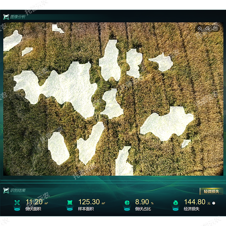 1770705573635824.png 1.png