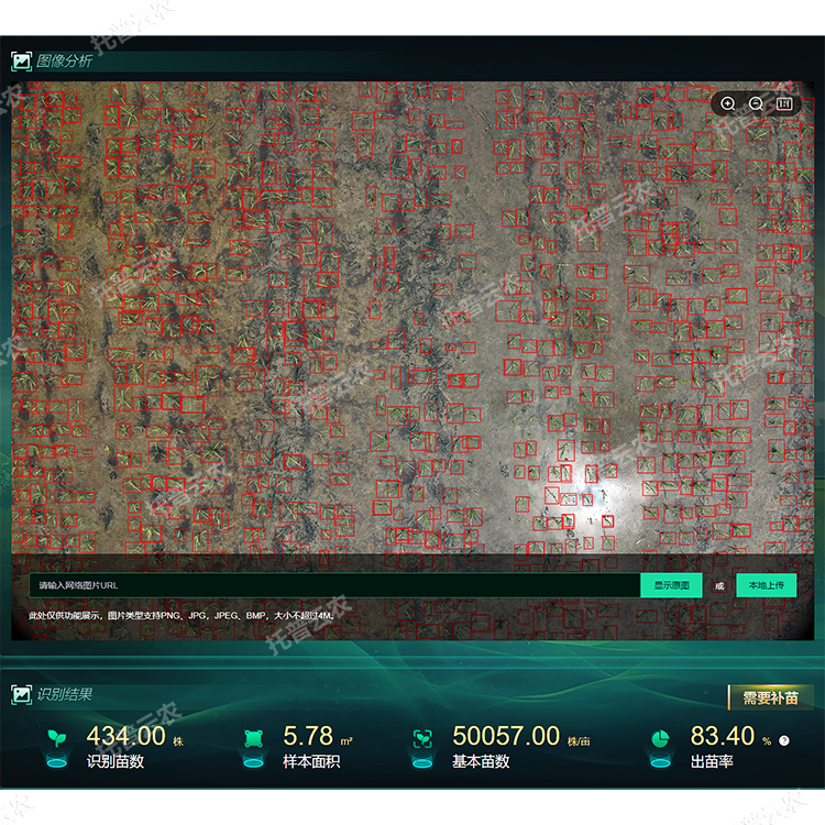 1770705592192003.png 2.png