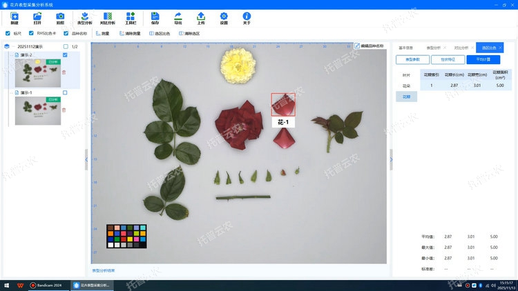 1770709602722768.jpg 花瓣.jpg