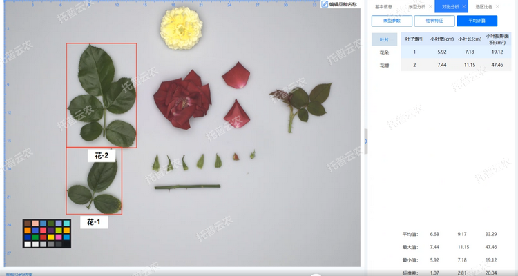 1770709640240377.png 葉.png