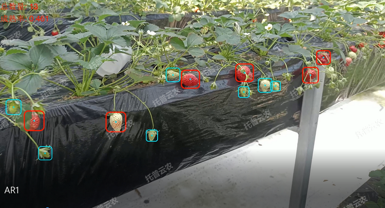 1770711681965967.png 1.png