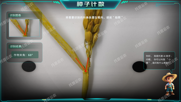 1770711778514321.png 7.png