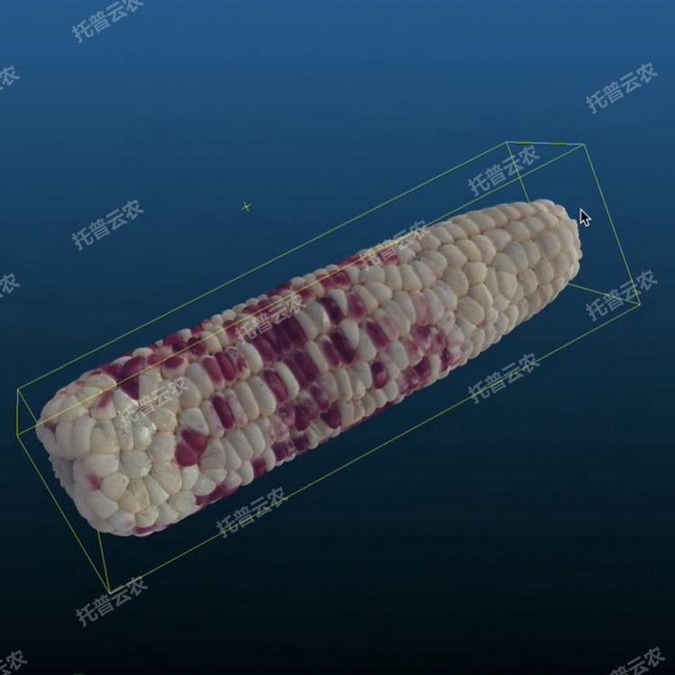 1770773850948038.png 主圖4.png