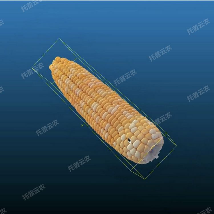 1770773882280073.png 主圖6.PNG